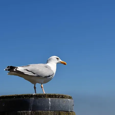 Kuestenliebe
