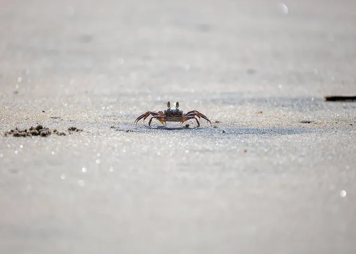 Kuestenliebe Apartman