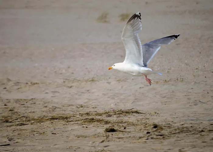Kuestenliebe Dorumer Neufeld